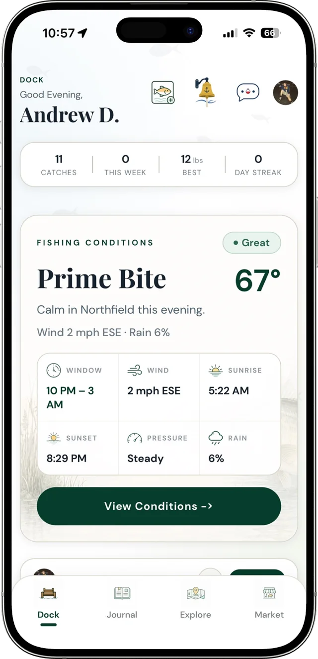 Backwater Journal Dock screen showing fishing conditions, the bite window, and catch stats